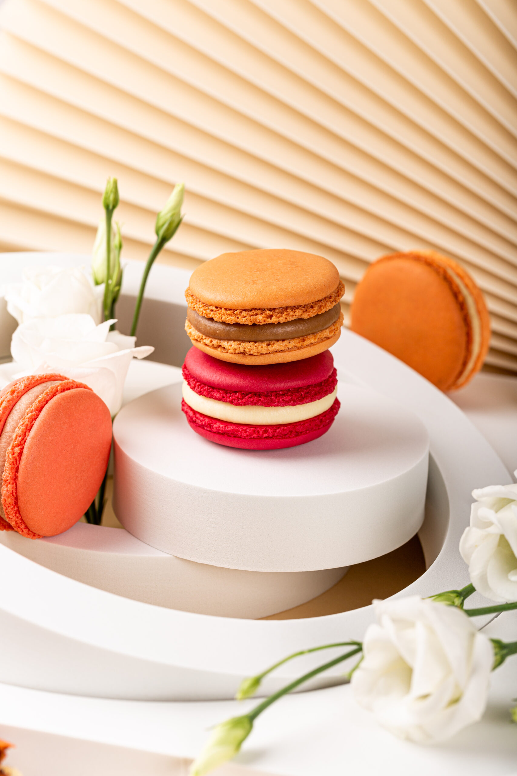 Spécial macarons